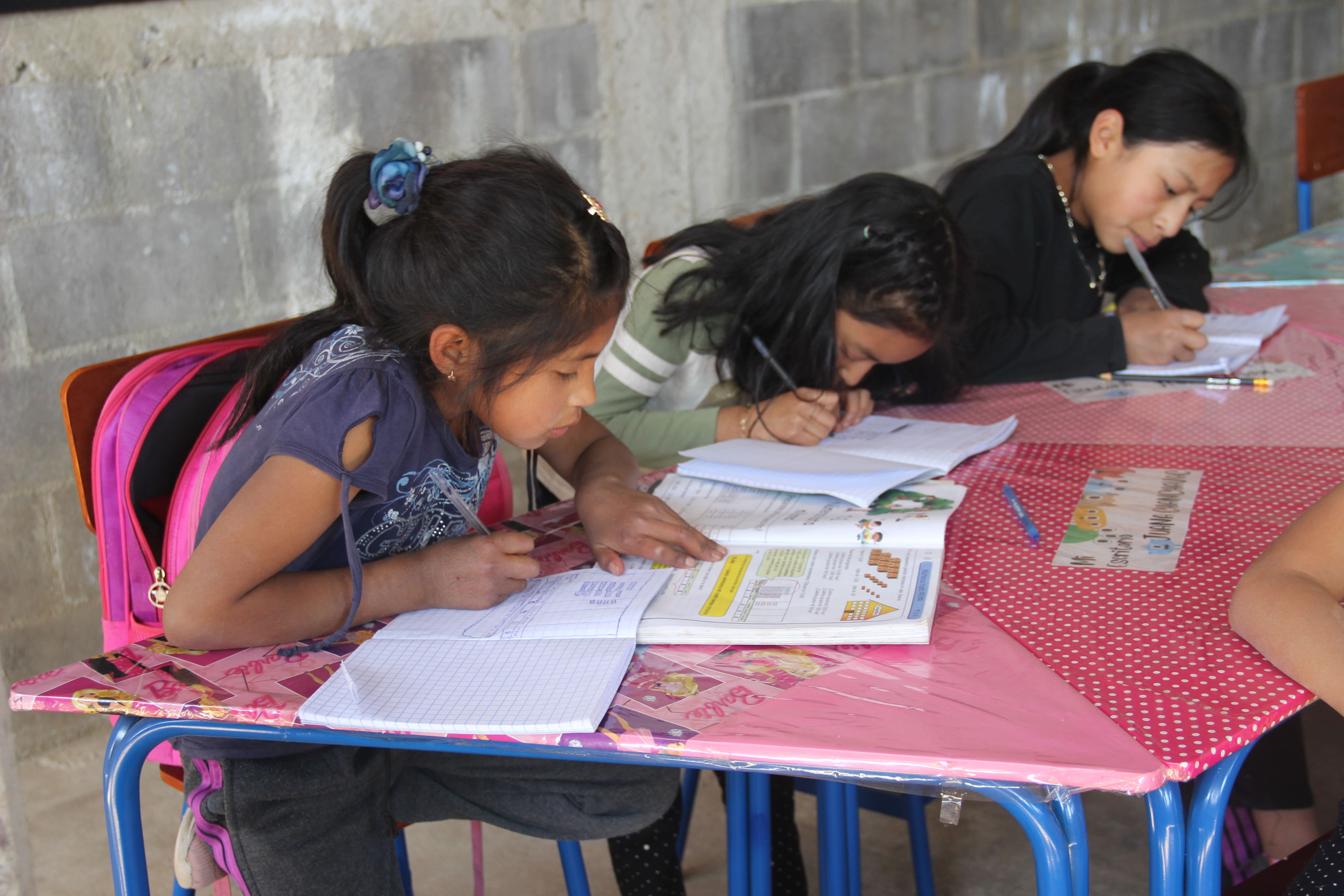 A group of children studying at school 