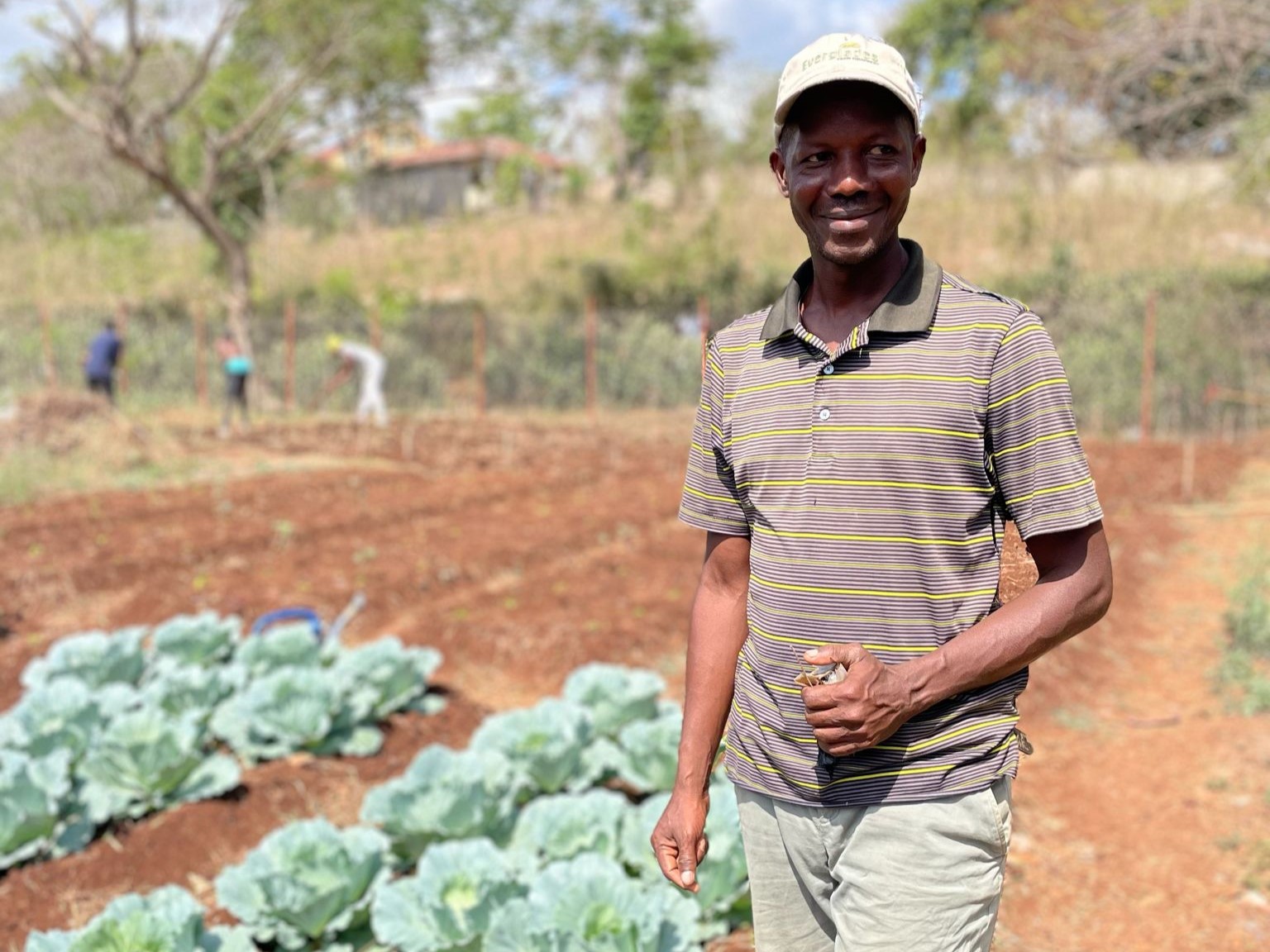 One man, looking into the camera, whilst working on a farm. 