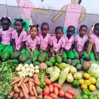 The new PiFò Haiti children's food program. 