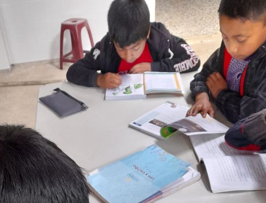 Two young boys studying together at school with their books open.