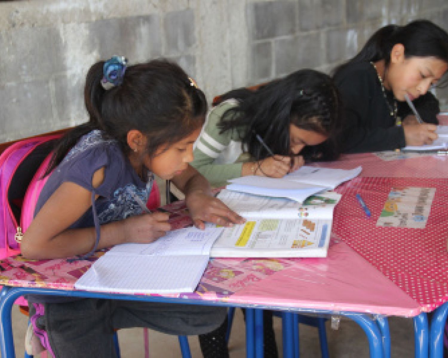 A group of young girls studying at school 